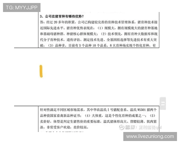 探讨d88官网在网络娱乐场景中的竞争优势